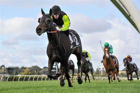 melbourne cup market 2022.